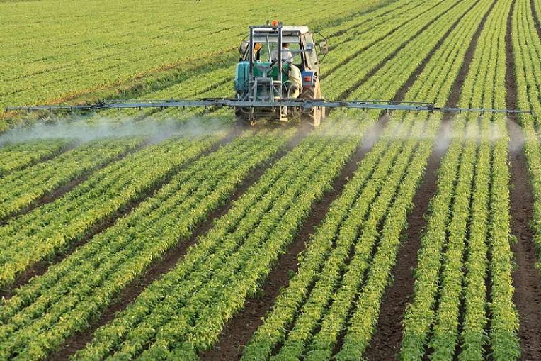 VIDÉO. « L’Algérie est l’un des pays au monde qui consomment le plus de pesticides »