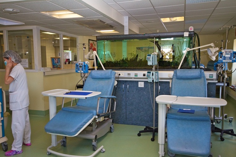 Algérie : 43 000 cas de cancer enregistrés en 2016