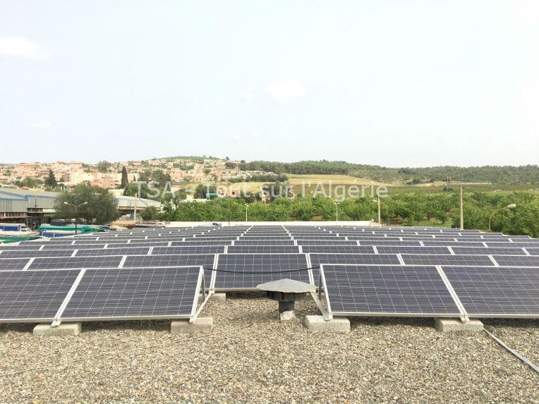 Dans le premier marché de gros d&rsquo;Algérie, doté d&rsquo;un système solaire intelligent