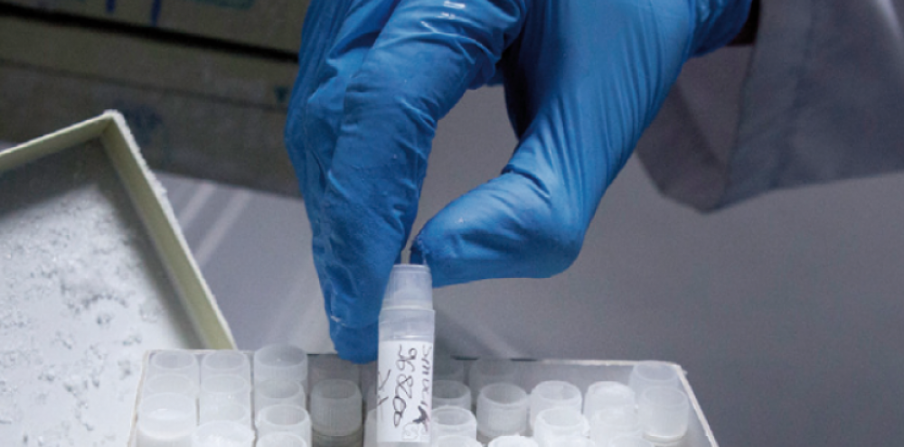 Cancer : des chercheurs travaillent sur des vaccins personnalisés