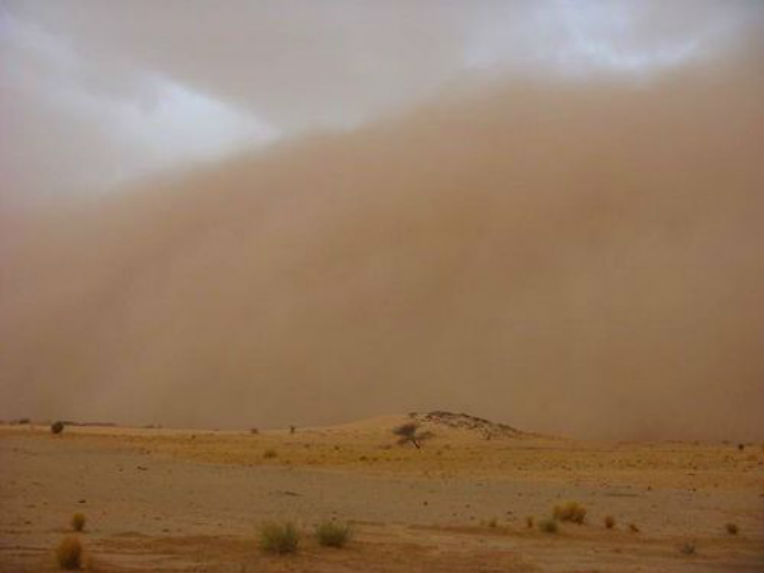 Météo : alerte aux vents forts dans 7 wilayas du sud
