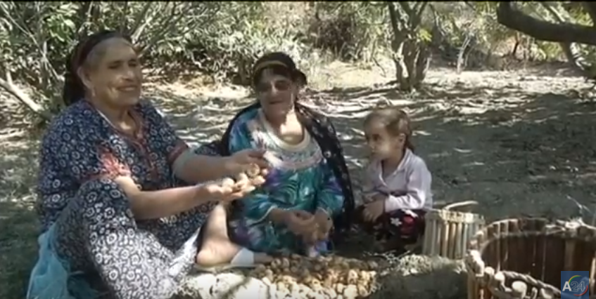 VIDÉO. À Beni Maouche, les producteurs des figues attendent l’aide de l’État