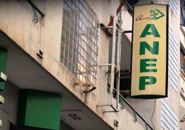 Publicité publique : nouveau changement à la tête de l’Anep