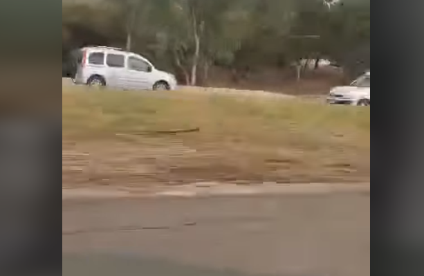 VIDEO. Il roule à contresens sur la rocade sud d’Alger