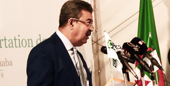 « L’Algérie peut exporter pour un milliard de dollars de ciment… »