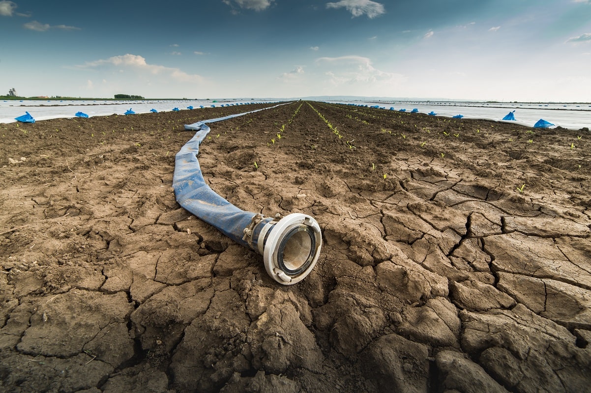 Manque d’eau en Algérie : le cri de détresse d’un agriculteur