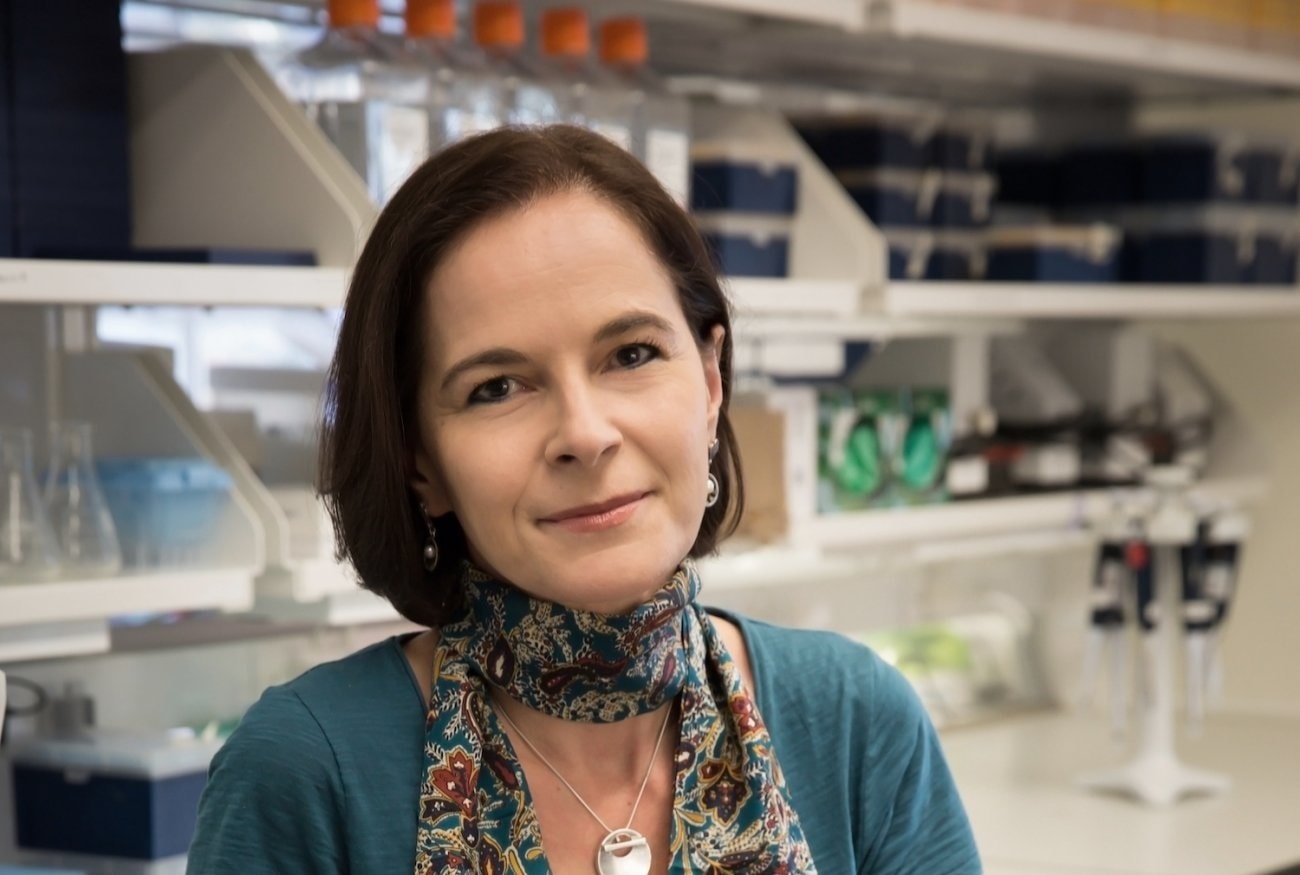 Yasmine Belkaid, une Algérienne à la tête de l’Institut Pasteur
