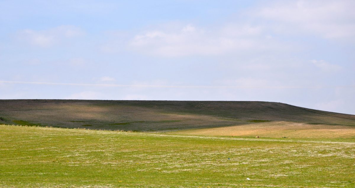 L’Algérie enclenche le processus de sauvetage de sa steppe