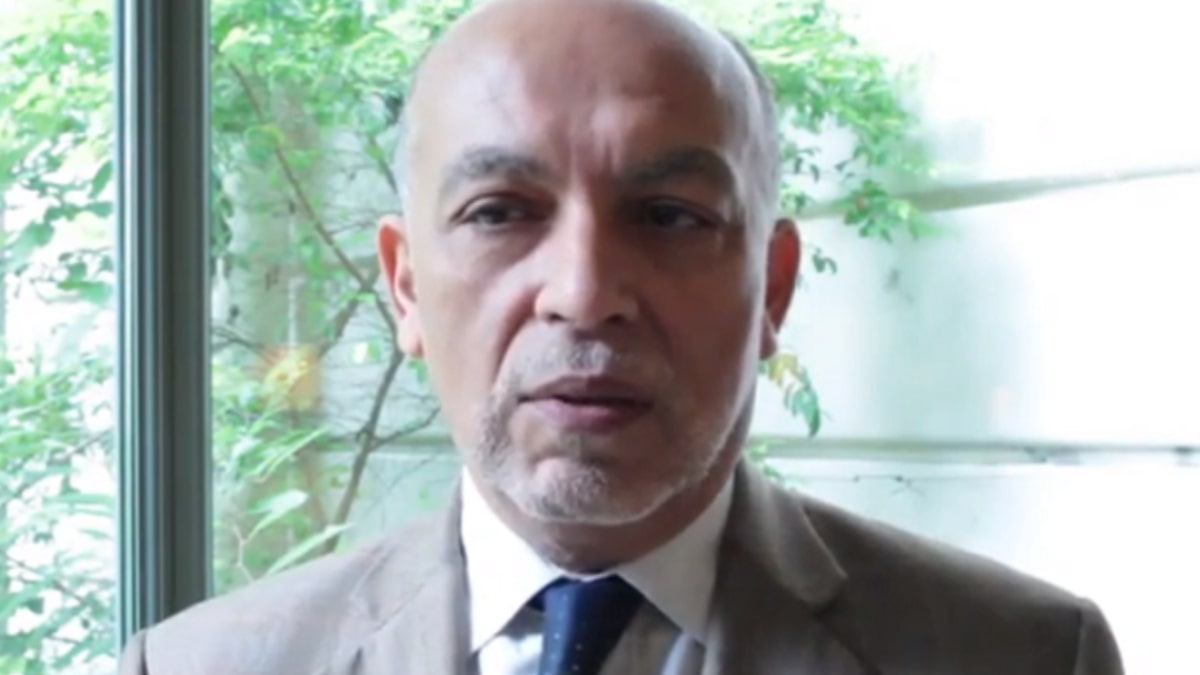 Guerre en Palestine, Algérie – France : entretien avec Abderrahmane Hadj Nacer