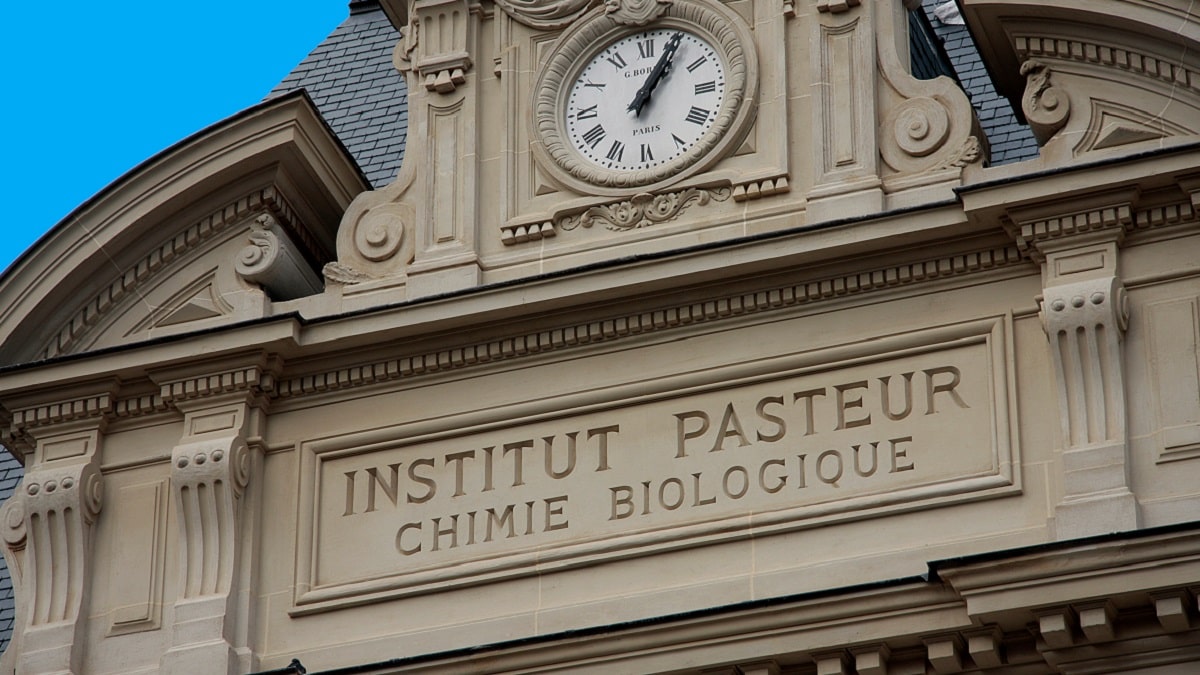 L&rsquo;Institut Pasteur attend beaucoup de sa nouvelle directrice Yasmine Belkaid