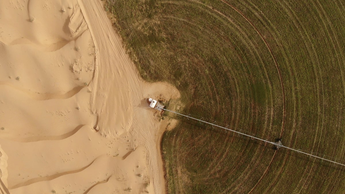 L’Algérie et les mirages de l’agriculture saharienne