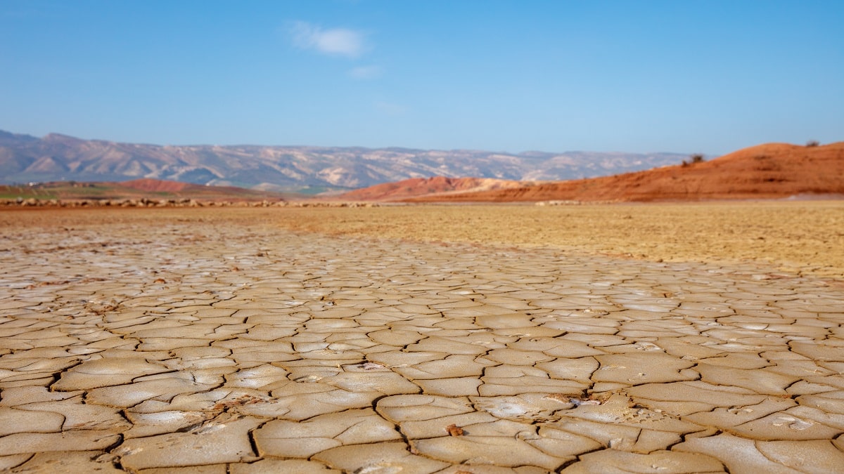Au Maroc, le secteur agricole est dévasté par la sécheresse