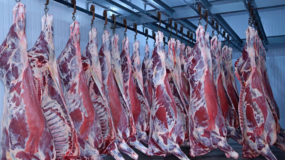 L’Algérie autorise l’importation des viandes rouges et blanches