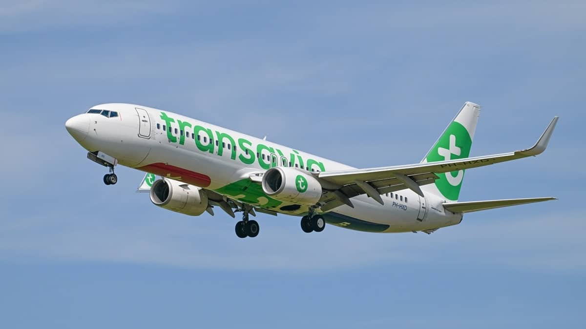 Vols France – Algérie : Transavia prolonge ces 4 lignes pour l’été 2025