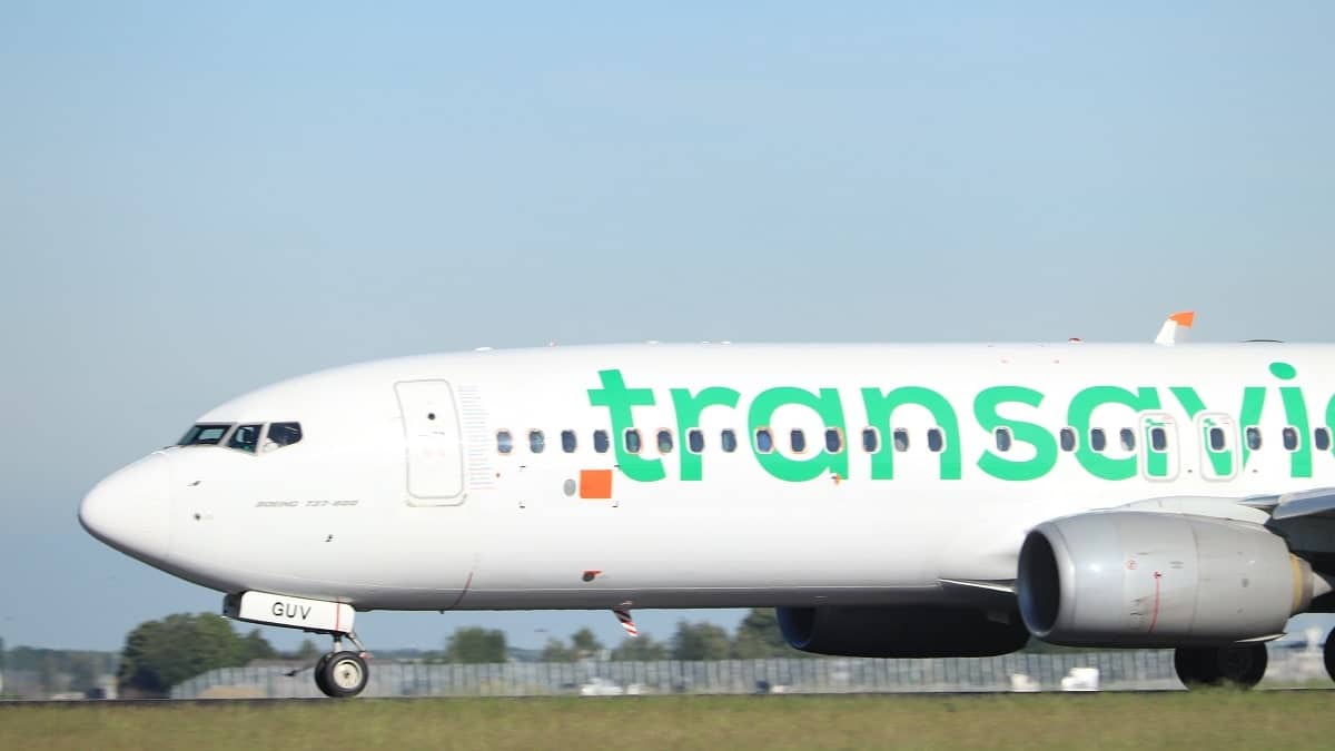 Billets d’avion vers l’Algérie : Transavia France explique pourquoi les prix sont élevés