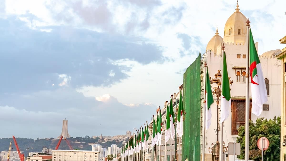 Un groupe chinois dévoile un projet de métro aérien pour Alger (Vidéo)