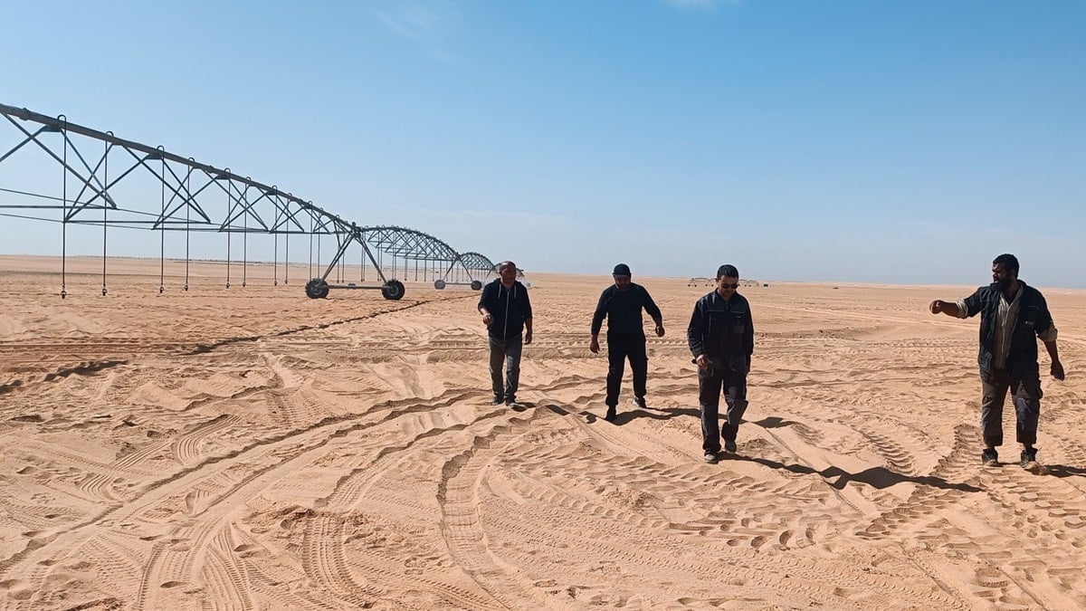 La Laiterie Soummam lance l’exploitation d’une ferme dans le Sahara