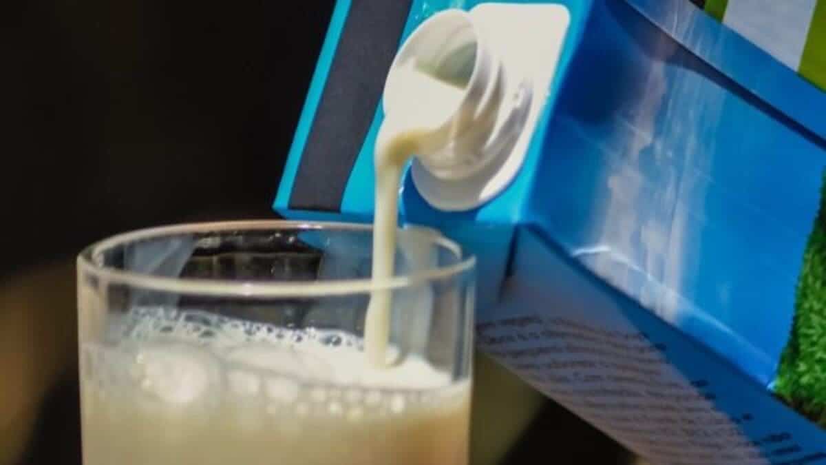 Bataille de « l’or blanc » en Algérie : le modèle original de Soummam