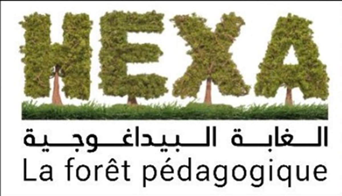 Général Emballage organise une opération de reboisement à Adrar