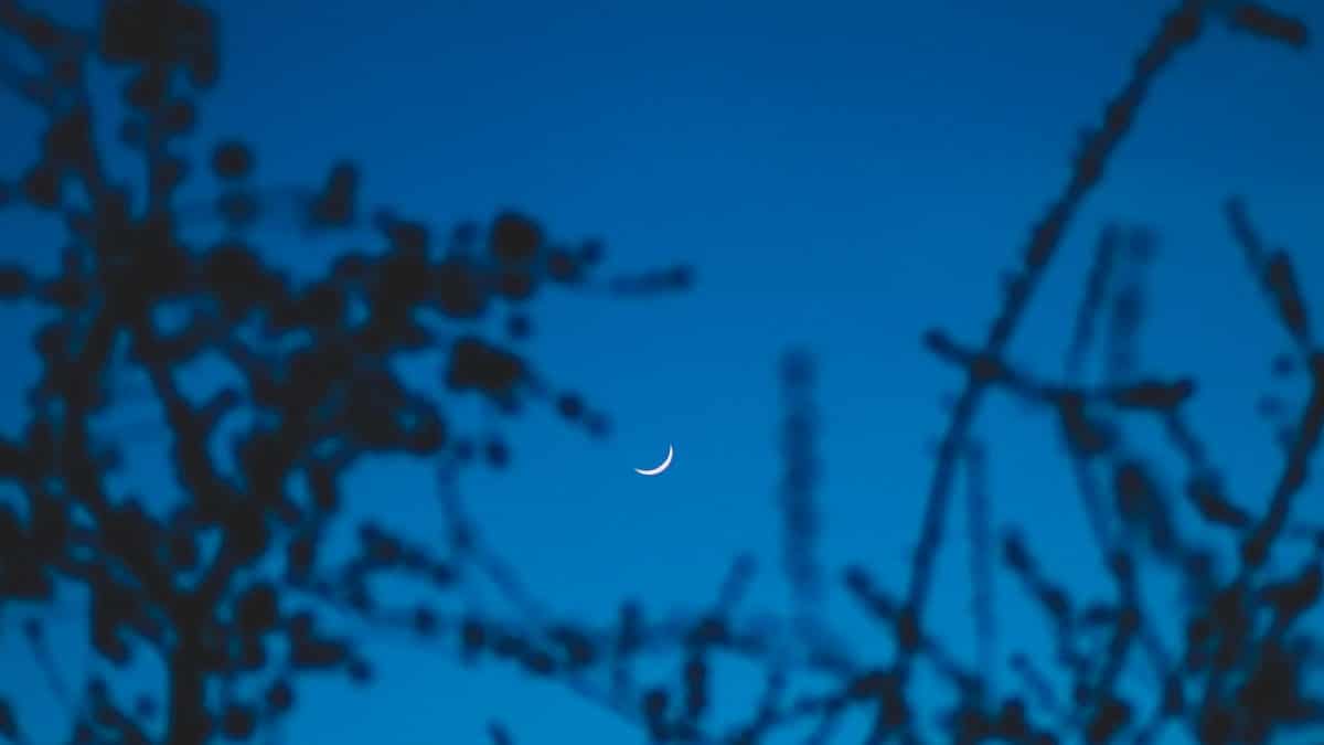 Aïd el-fitr 2025 : l’Arabie saoudite fixe la date