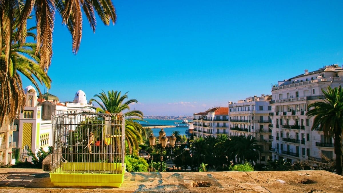 Visa pour l’Algérie : du nouveau pour la diaspora algérienne en France