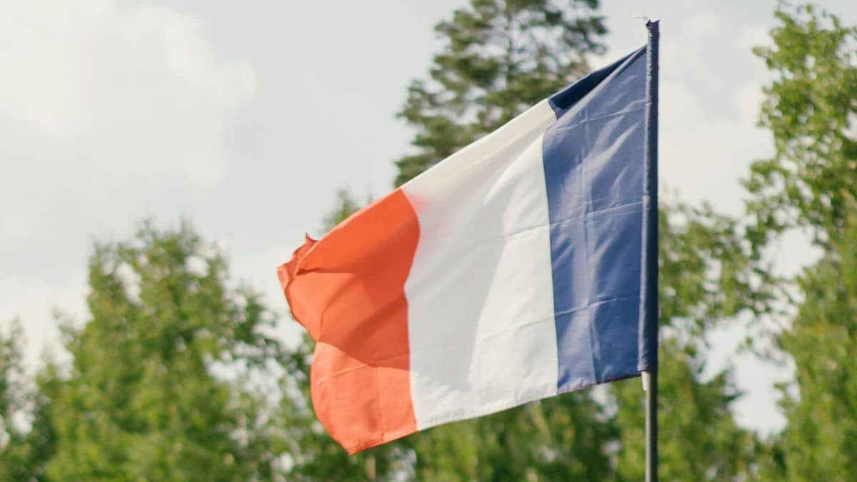 Algériens en France : première communauté immigrée, leur nombre dévoilé